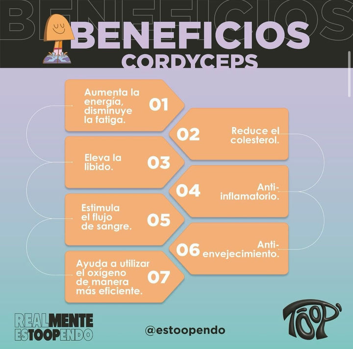 Cordyceps