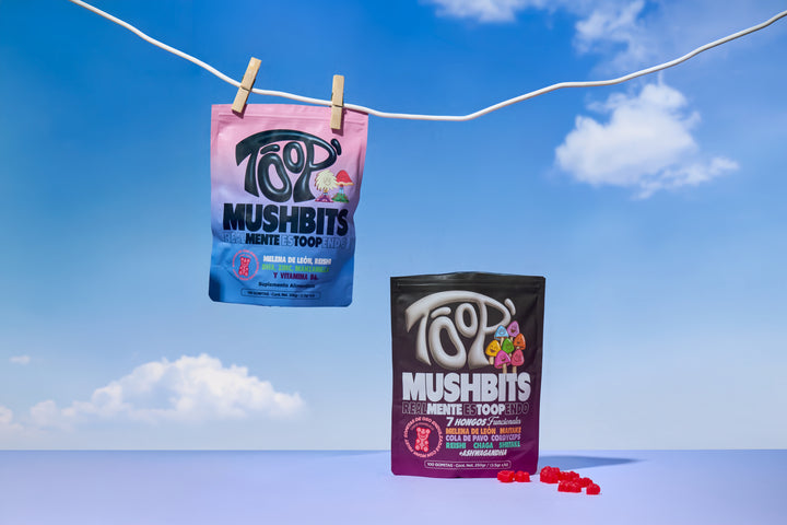 2 MUSHBITS (ANTI LAZY & FOCUS GUMMIES)